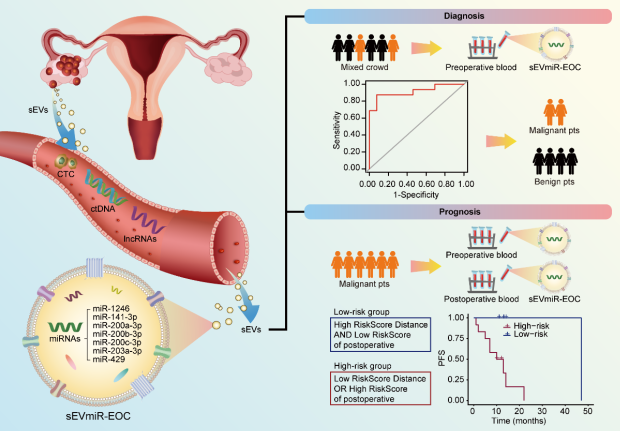 突破！新的外泌体miRNA标记物助力卵巢癌早诊