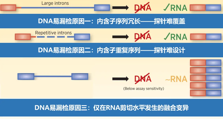 欧博ABG会员网址- abg欧博会员登录